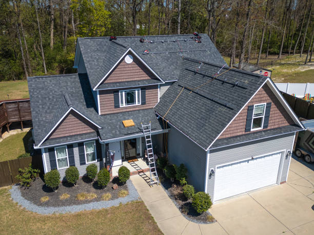 Best Roof Moss and Algae Removal  in East Niles, CA